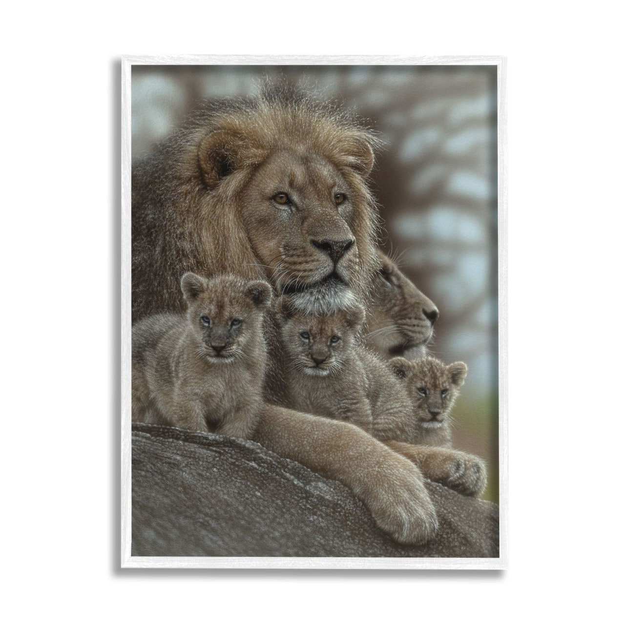 Stupell Industries King Lion Baby Cubs Wild Safari Animal Family Framed Wall Art